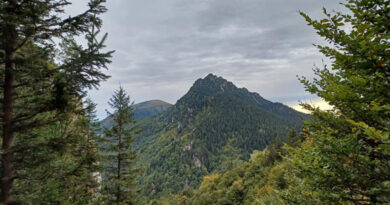 Tatry Niżne: Salatin 10.05.2025 r.