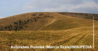 Słowacja: Głównym Grzbietem Wielkiej Fatry – Ploská 05.07.2025 r.
